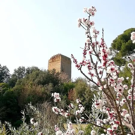 Oasi La Torre Holiday home San Benedetto del Tronto